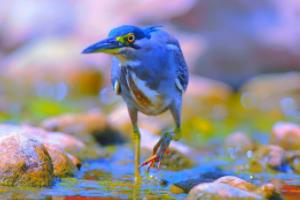 最后，结论部分总结整个赛事的意义和价值，强调其对未来的启示。2026年美加墨世界杯时间