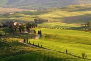 激情四射的亚洲区世界杯预选赛，18强的激烈对决世界杯亚洲区预选赛18强